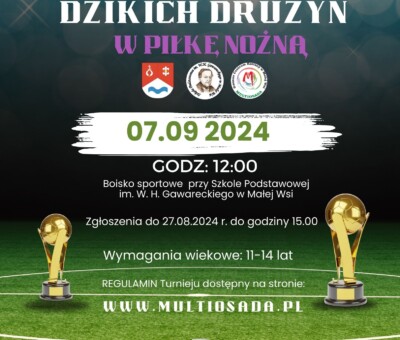 Kopia-–-I-gminny-turniej-dzikich-druzyn-w-pike-nozna